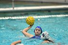 WWPolo vs CC  Wheaton College Women’s Water Polo compete in their sports inaugural match vs Connecticut College. - Photo By: KEITH NORDSTROM : Wheaton, water polo, inaugural